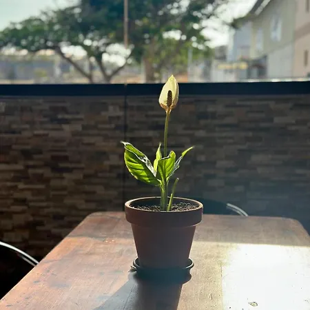 Hébergement de vacances Relaxing Torres *