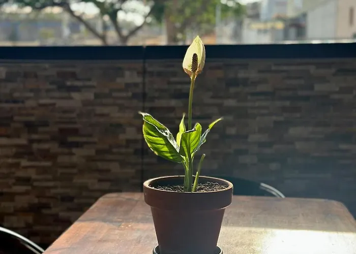 Будинок відпочинку Relaxing Torres *