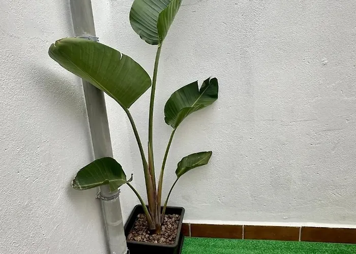 Будинок відпочинку Relaxing Torres