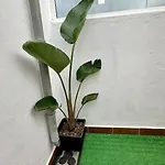 Feriehus Relaxing Torres