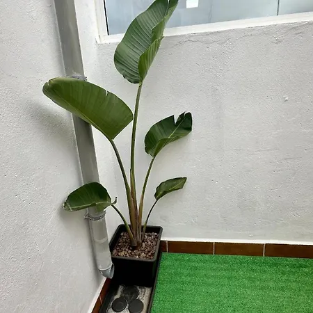 度假居 Relaxing Torres